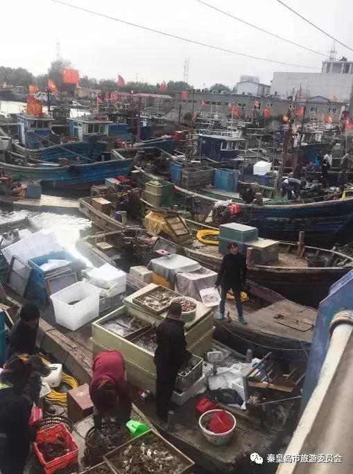 有一种炫富叫辽宁开海,在山东有一种炫富叫开海