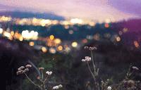 在深圳5000元月薪能存到钱吗,深圳打工年入20万能存多少