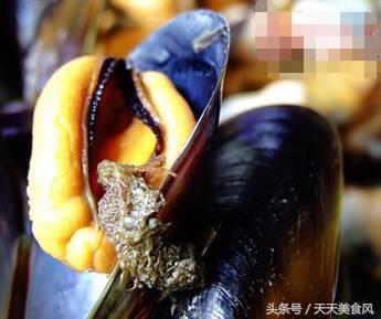 怎样选择海鲜的正确方法,海鲜如何清洗比较干净又好吃