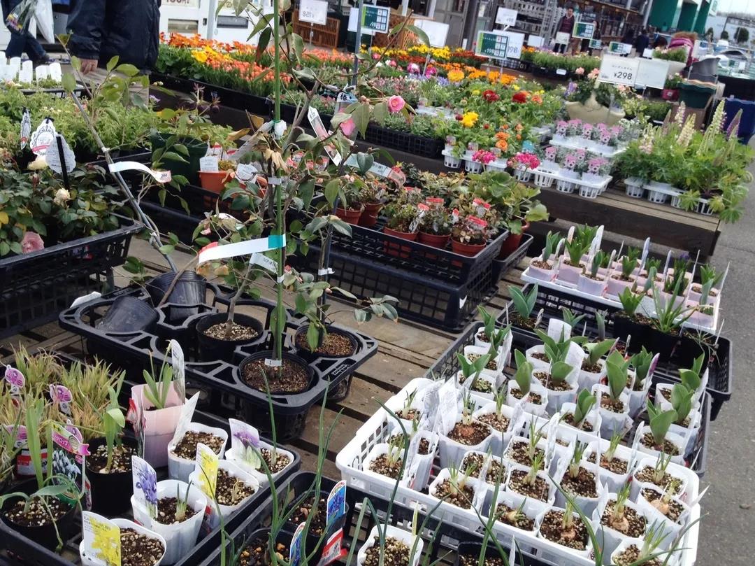 日本花店创业,日本花店的经营模式