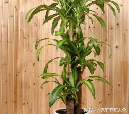 对抗秋冬干燥学会这4招,对抗秋燥