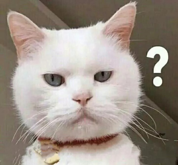 青岛的啤酒和蛤蜊,野生干蛤蜊青岛特产