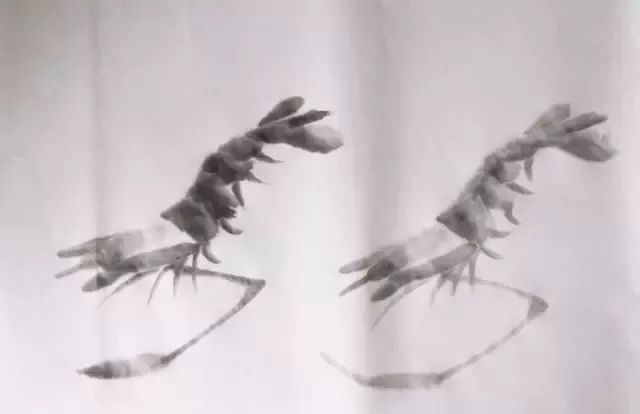 简单方法画虾,怎样画虾教学视频