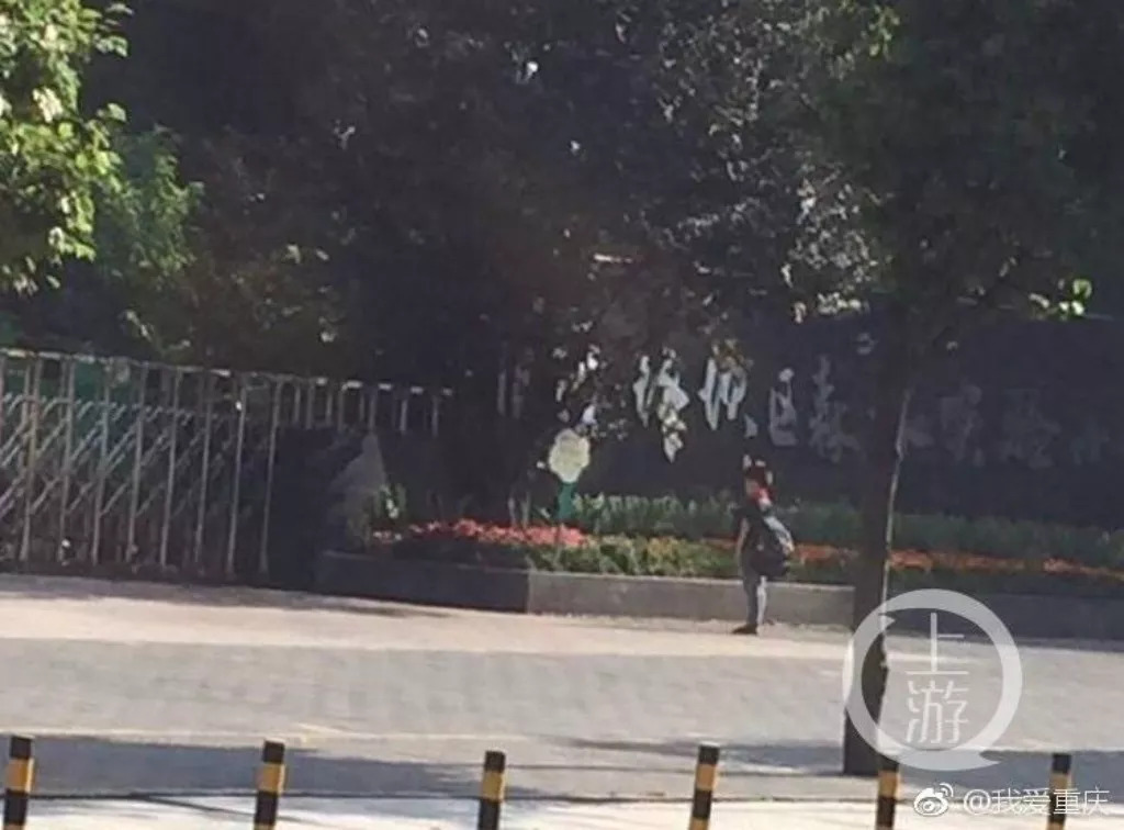 不负青春不负韶华砥砺前行,不负青春砥砺前行不负韶华