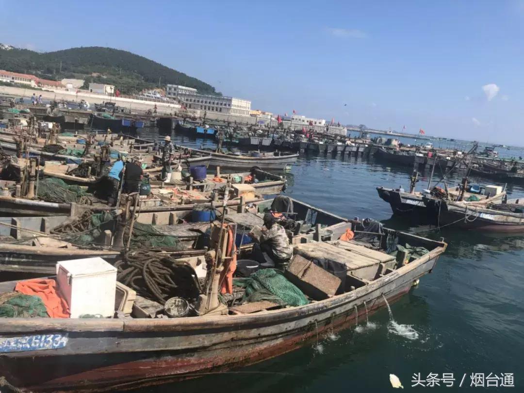 烟台开海现场直播视频,开海现场视频直播