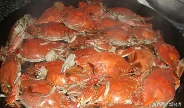 烟台开海现场直播视频,开海现场视频直播