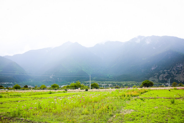 九月份的江南风景,四月的江南风景