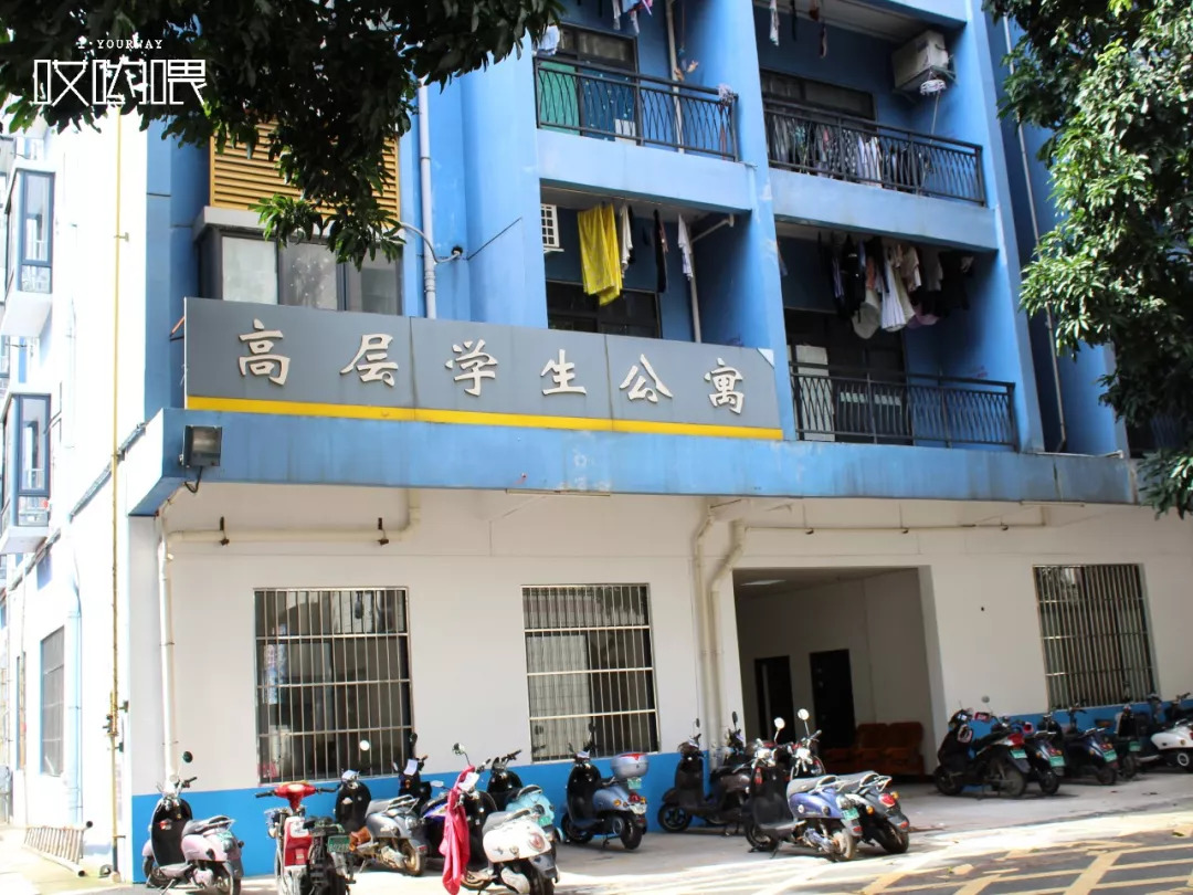 鍗楀畞闈掔骞胯タ鑹烘湳瀛﹂櫌,骞胯タ鑹烘湳瀛﹂櫌闈掔