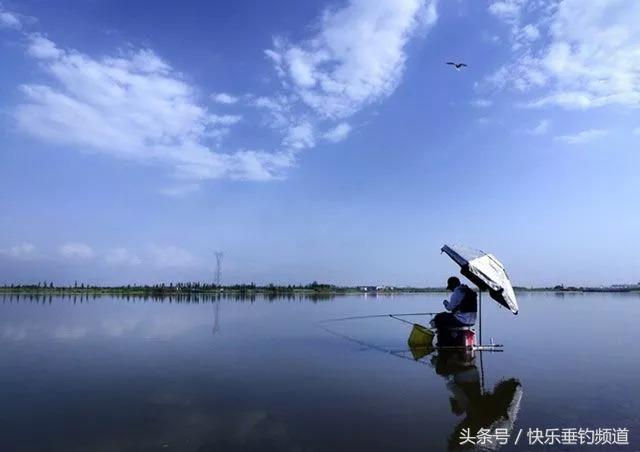 钓鱼技巧和口诀一览表,钓鱼十八招