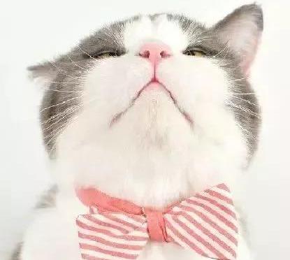 艾灸最常见的排病反应,艾灸时的各种灸感和排病反应