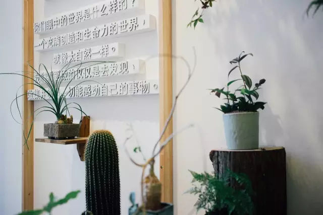 送给想去苏州的姑娘20条建议,给想去川西的姑娘50条建议