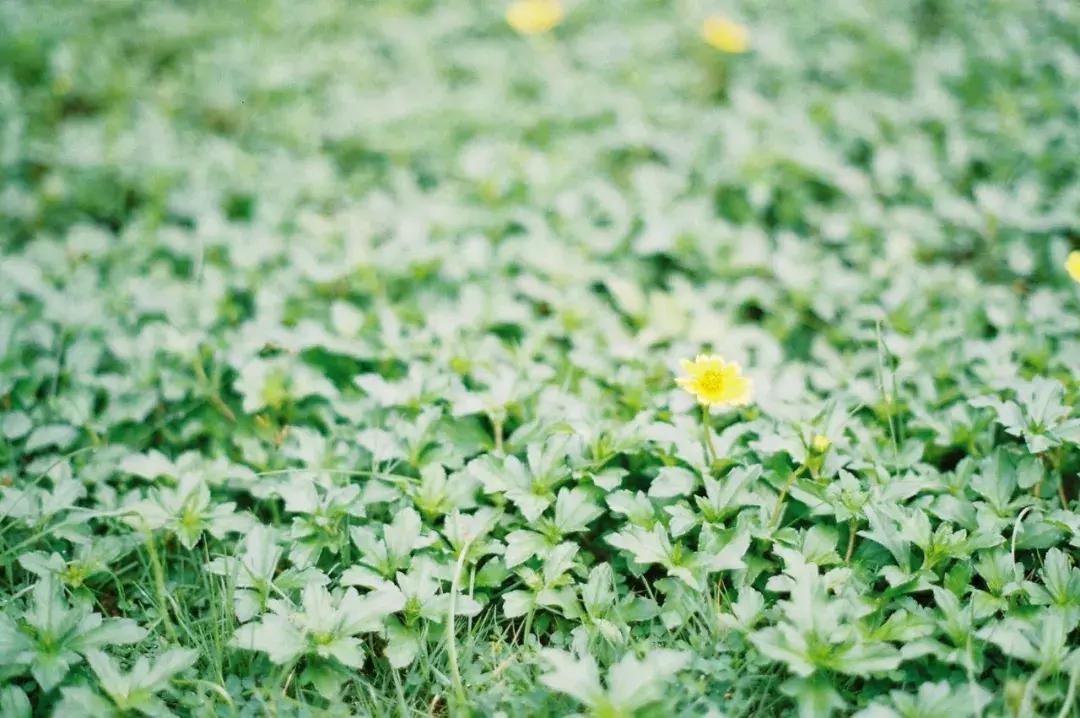 摄影色彩的处理的基本规则,摄影光线和颜色