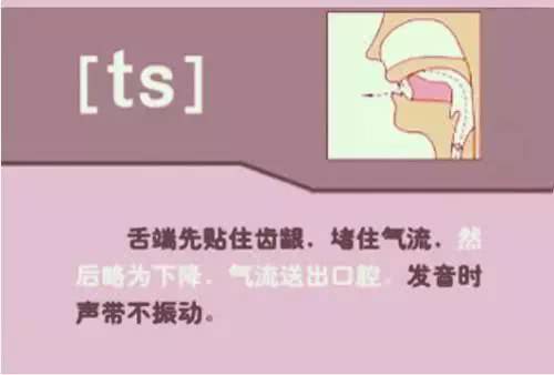 英语音标48个发音有趣教学视频,英语音标48个发音快速记忆