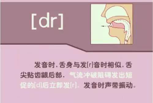 英语音标48个发音有趣教学视频,英语音标48个发音快速记忆