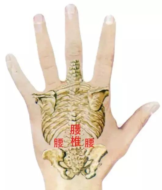 新舞林大会任嘉伦popping,新舞林大会任嘉伦眼罩