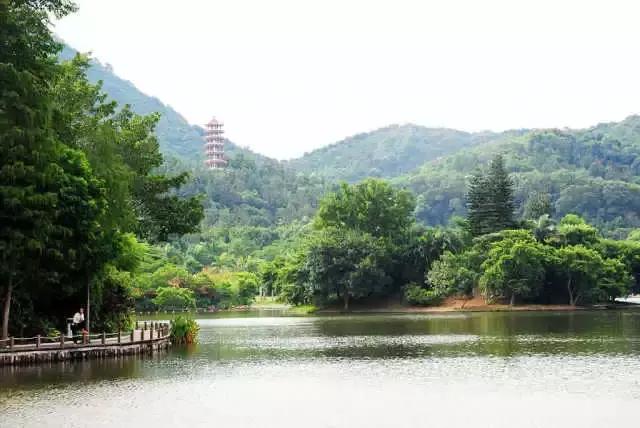 深圳夜间骑行十大最佳路线,深圳最舒服的骑行路线