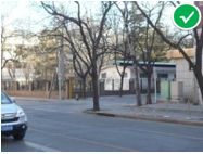 「交通看点」建设“完整林荫道”——步行和自行车交通环境设计建设图集亮点介绍（一）