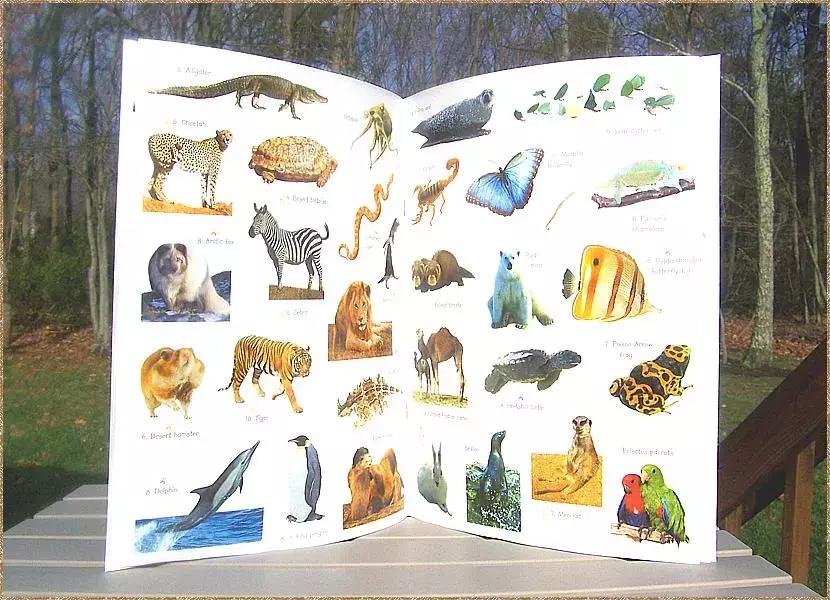 1岁宝宝怎样培养读绘本,1岁宝宝绘本启蒙怎么做