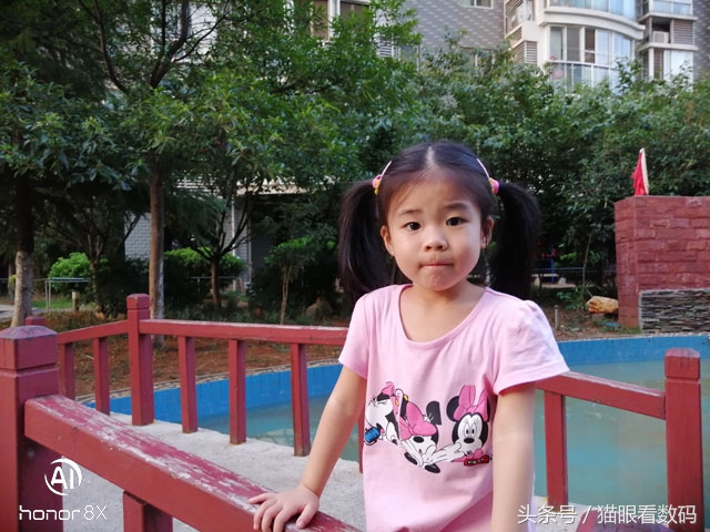 荣耀8x海思麒麟710怎么样,荣耀8x前置真的有16mp像素吗