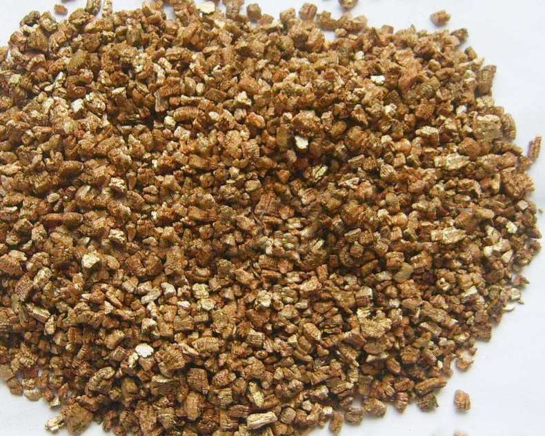 老桩群生多肉买什么颗粒土,多肉怎么养出粗壮的老桩呢