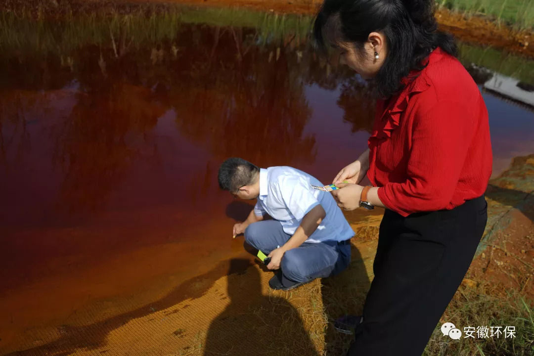 铜陵环保督察组,环保督察组对淮南市的督察结果