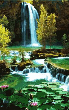 会动的照片大全,会动的11张图片