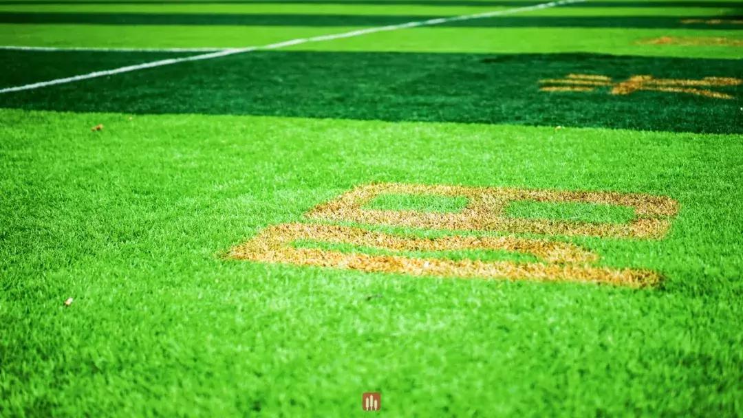 临平区附近哪有免费球场,临平山北大型公园