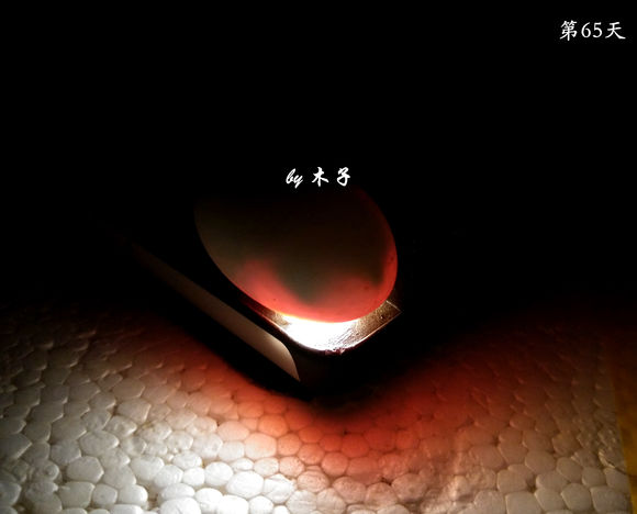 草龟繁殖经验分享孵蛋40天破壳,草龟养殖日记从幼苗开始