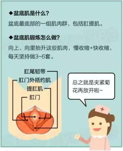 甲鱼生蚝牛鞭鸡腰子煲汤,甲鱼生蚝牛鞭鸡腰子哪个好