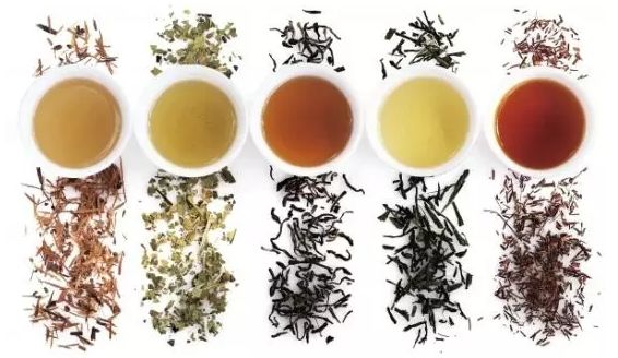 每周英语时光｜Whois谁是“茶博士”？TeaDoctor?