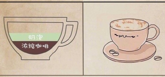咖啡的分类品种及特点,咖啡的分类和喝法