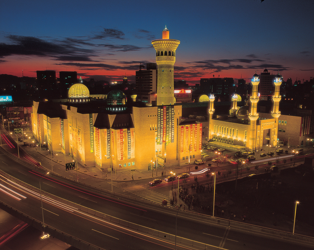 一次偶然，铸就永恒，十年驴龄的他“长存”于此-乌孙驴行记