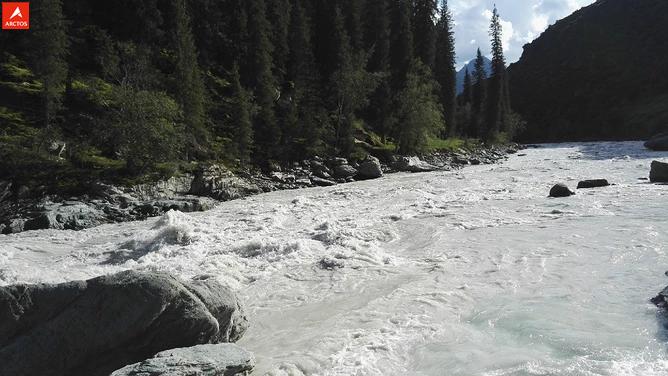 一次偶然，铸就永恒，十年驴龄的他“长存”于此-乌孙驴行记