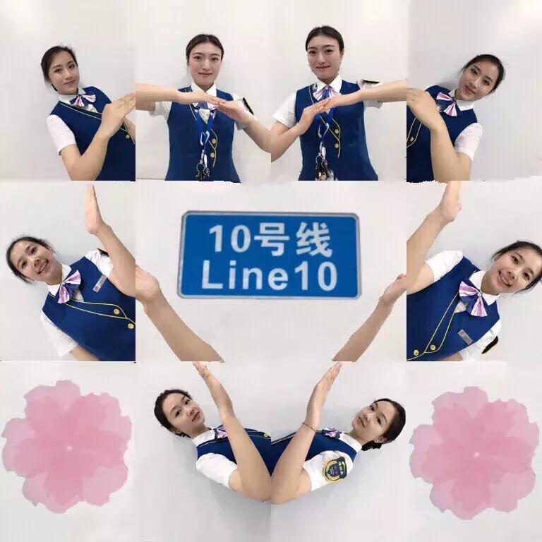 10号线一周年｜芙蓉花开，走进10号线绽放的365天