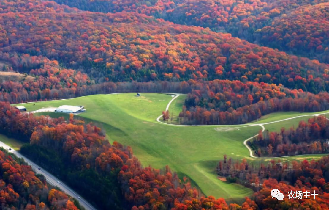 成为农业大户的条件,中国农场主的要求
