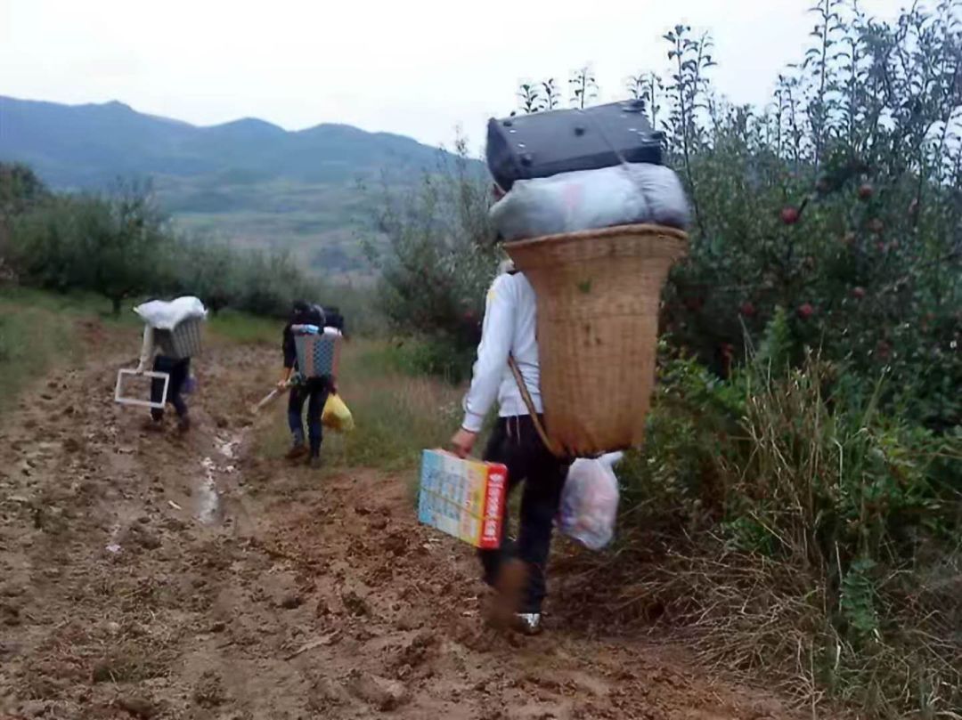 涓轰簡鐖辨儏缈诲北瓒婂箔,涓轰簡鐖辨儏鎶崋鏂╂鐮ョ牶鍓嶈