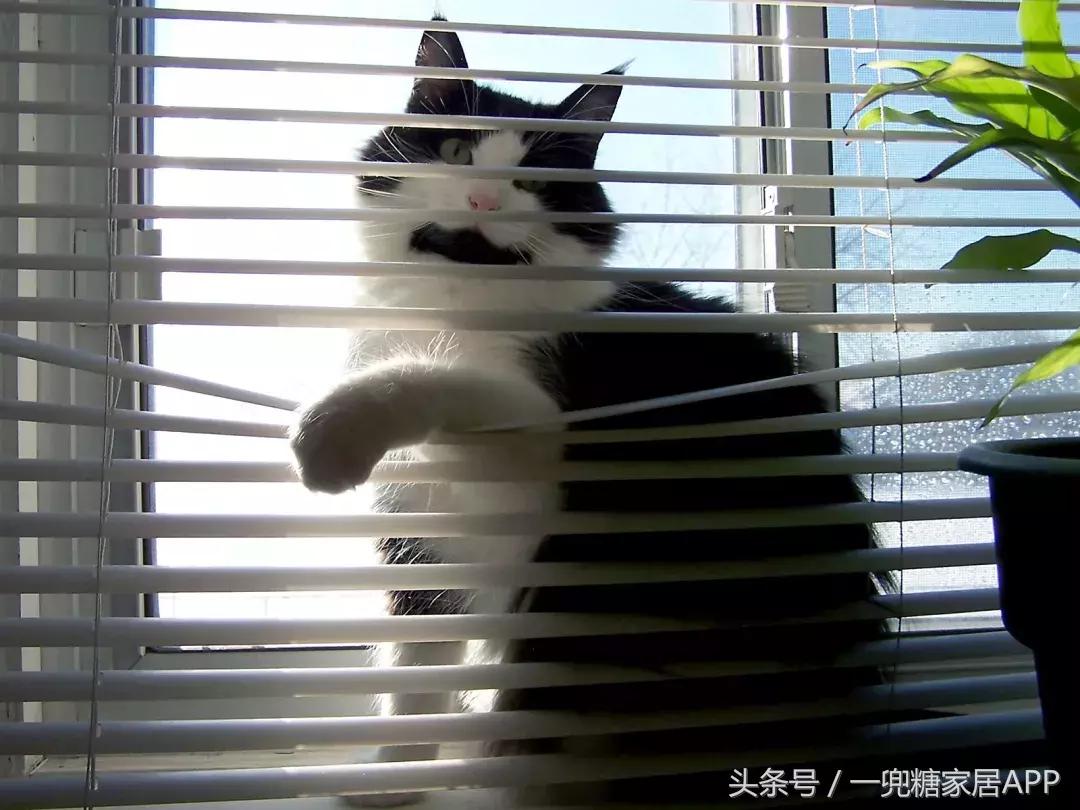 网红窗帘今年流行的,窗帘十大网红款