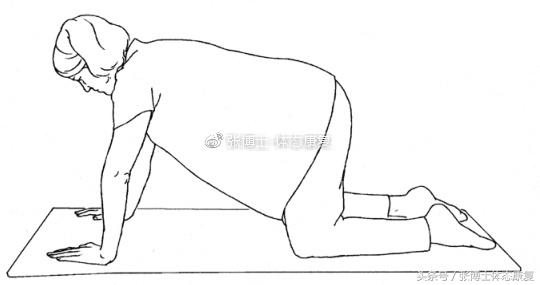 最全产后恢复体育动作,产后修复的健身动作