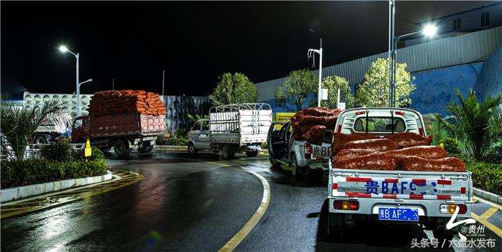 盘州刺梨产值,2020贵州刺梨产业