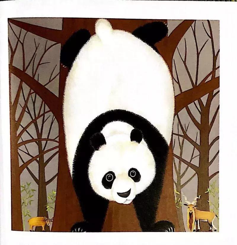 最近流行适合女性的一套书,平价颜值又高容量大的书