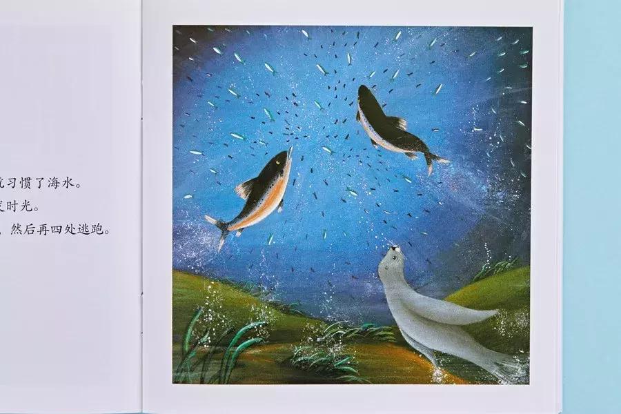 最近流行适合女性的一套书,平价颜值又高容量大的书