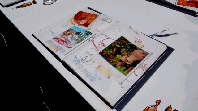 北戴河十大网红景点,北戴河五大网红地标打卡游攻略