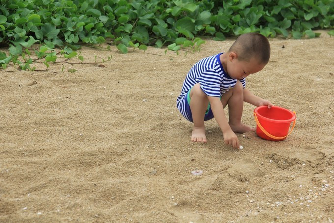 一家三口看海记，私藏本土美食美景攻略
