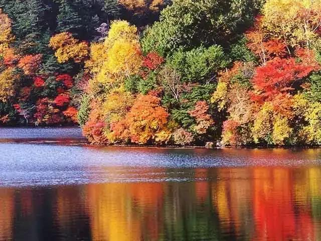 金秋10月最适合自驾之地,秋季最美自驾攻略