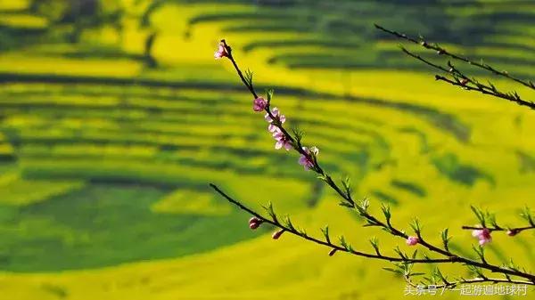 云南的元阳好耍不,云南元阳县风景区