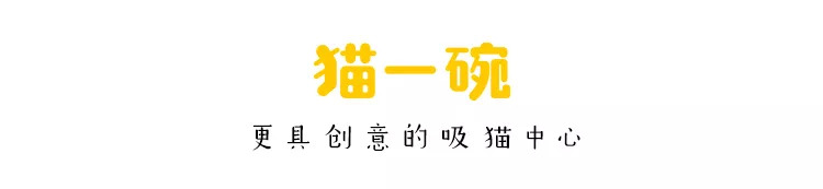 维密天使猫猫走秀,维密超模走秀猫咪