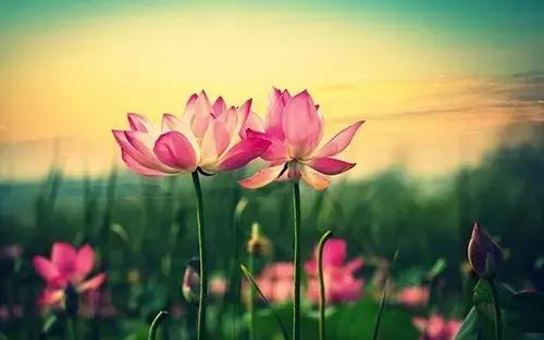 江苏省连云港地图高清版大图,连云港海地图怎么画