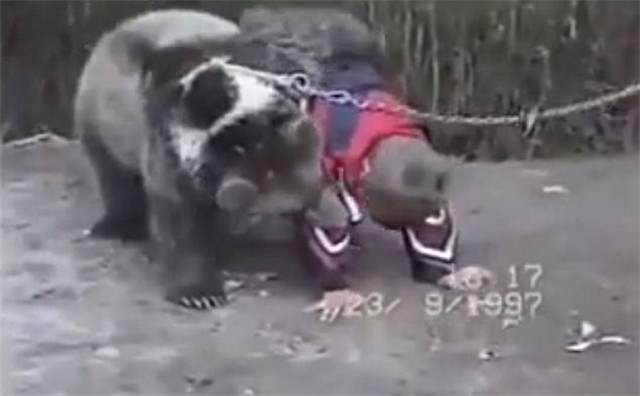 ufc嘴炮打得过一龙吗,ufc嘴炮没有开打吗