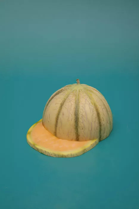 艺术家笔下的蔬菜,艺术家眼中的树