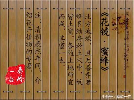 土蜂蜜四大名蜜,最好吃的土蜂蜜